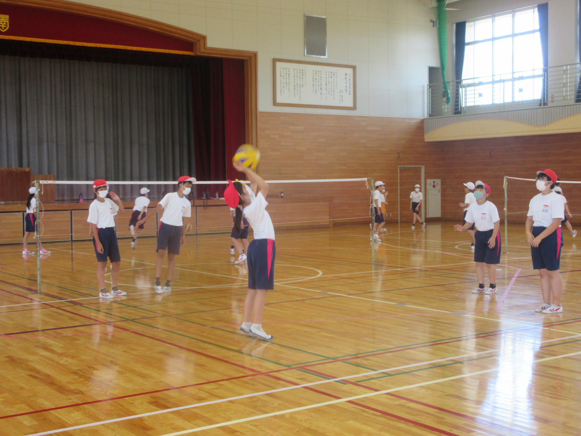 IMG_2534 IMG_2534