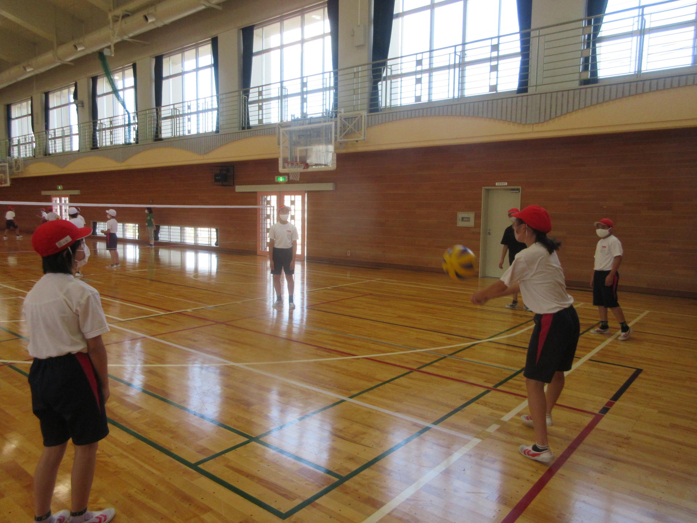 IMG_2536 IMG_2536