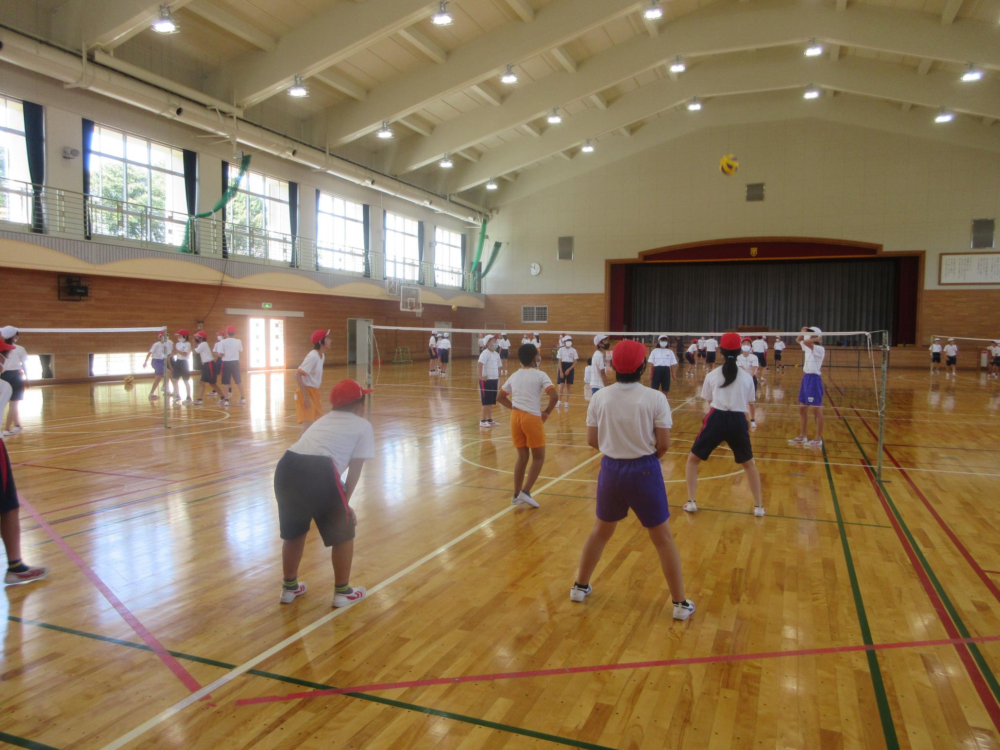 IMG_2538 IMG_2538