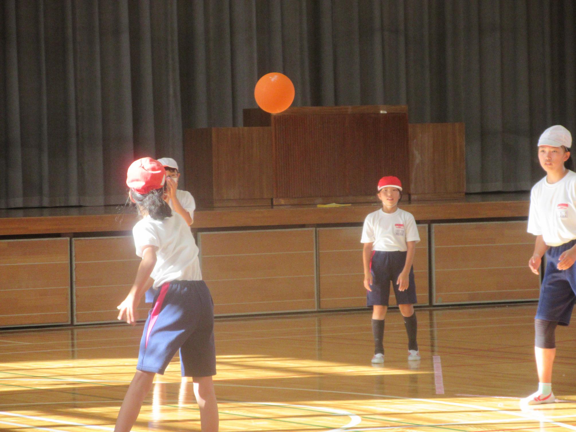 IMG_2583 IMG_2583