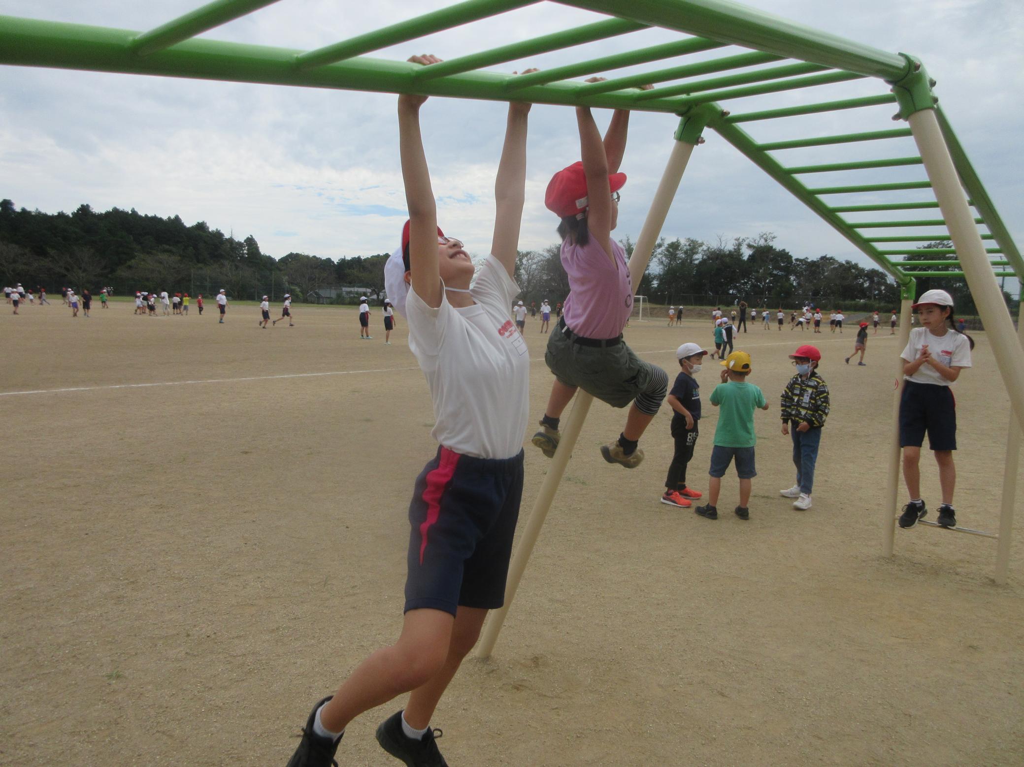 IMG_2669 IMG_2669
