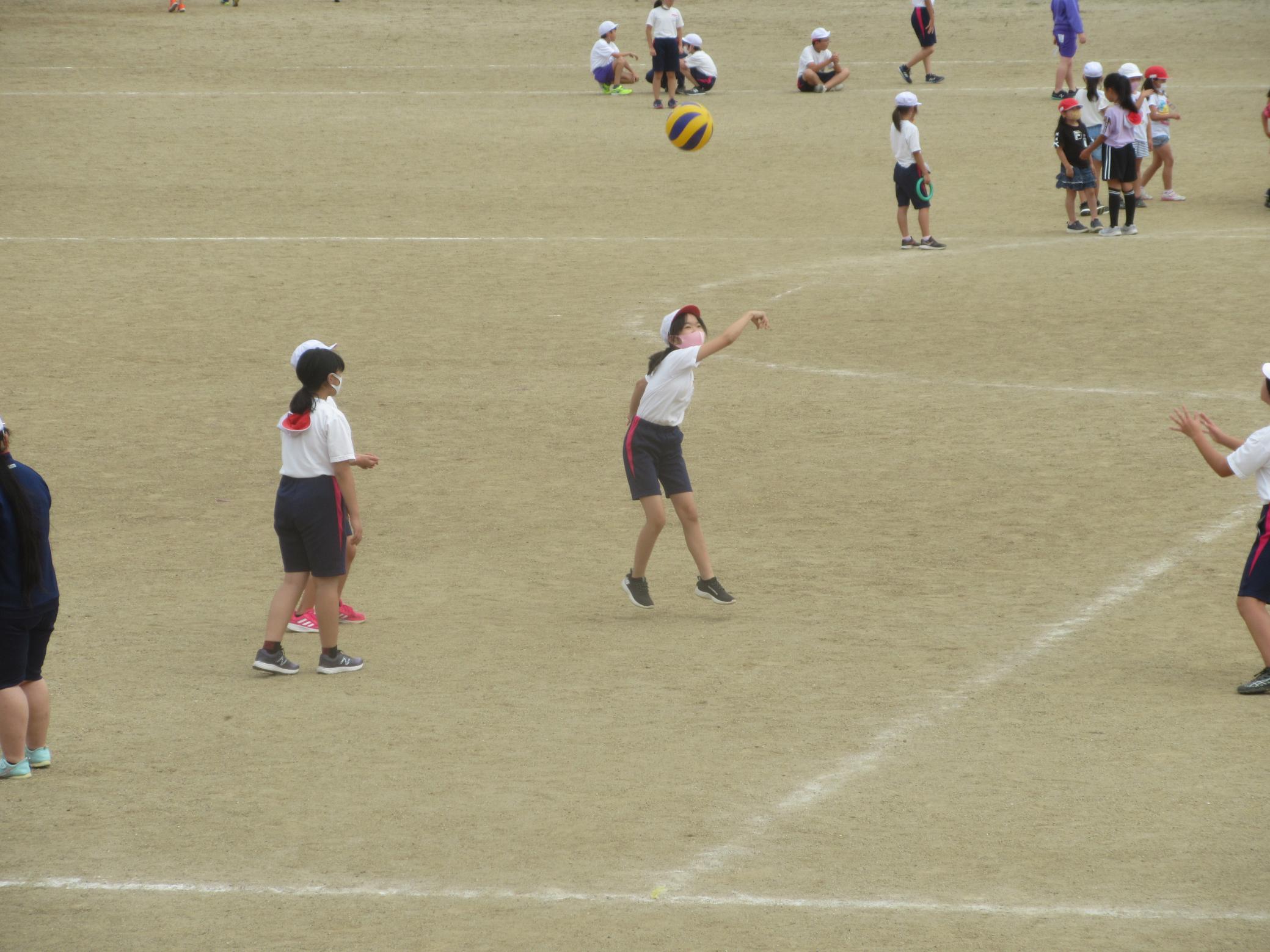 IMG_2667 IMG_2667