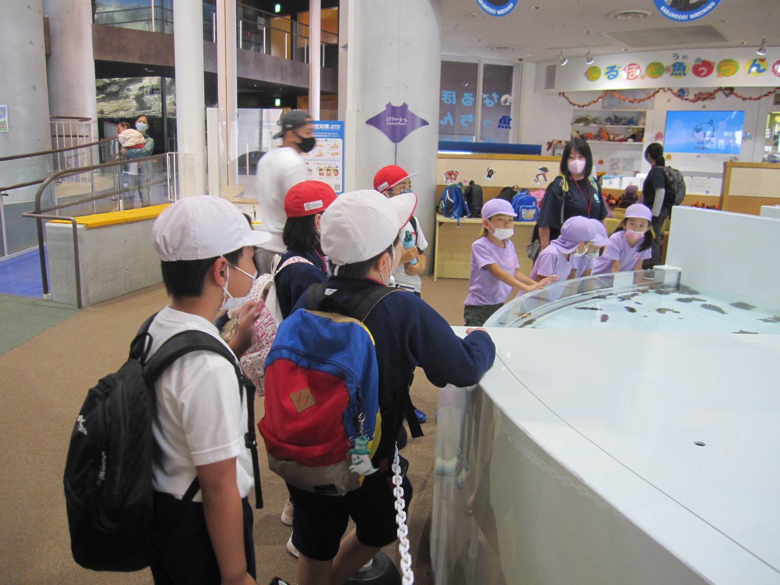 IMG_0264 IMG_0264