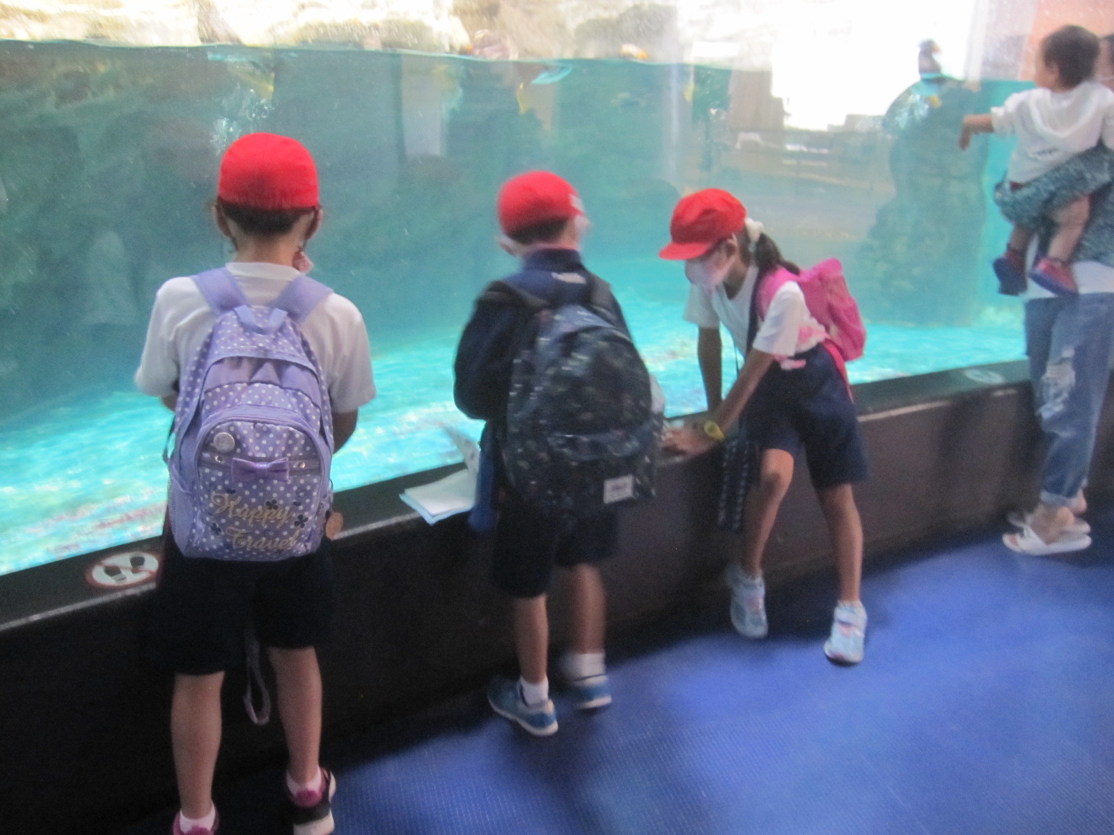 IMG_0259 IMG_0259