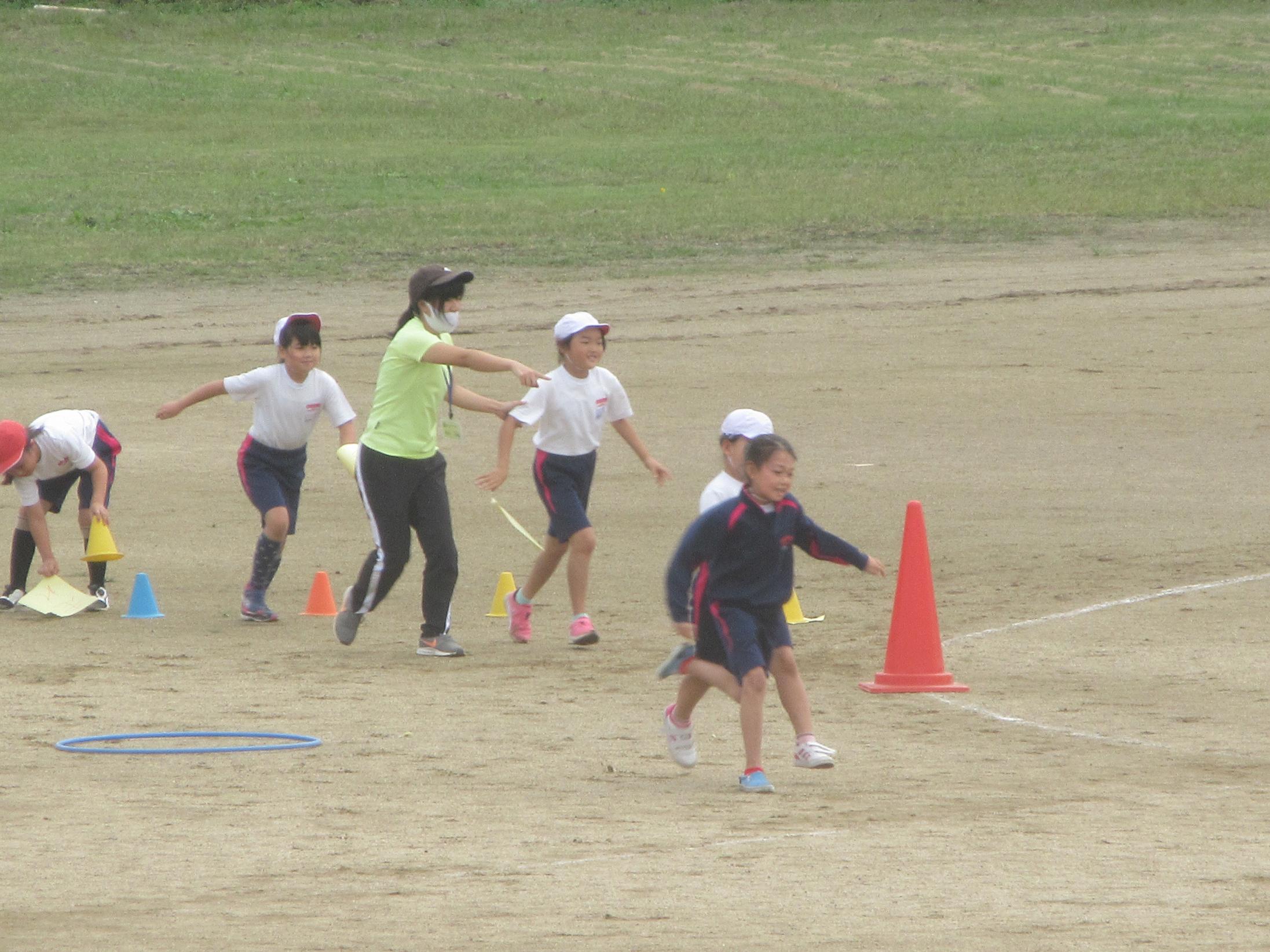 IMG_2993 IMG_2993
