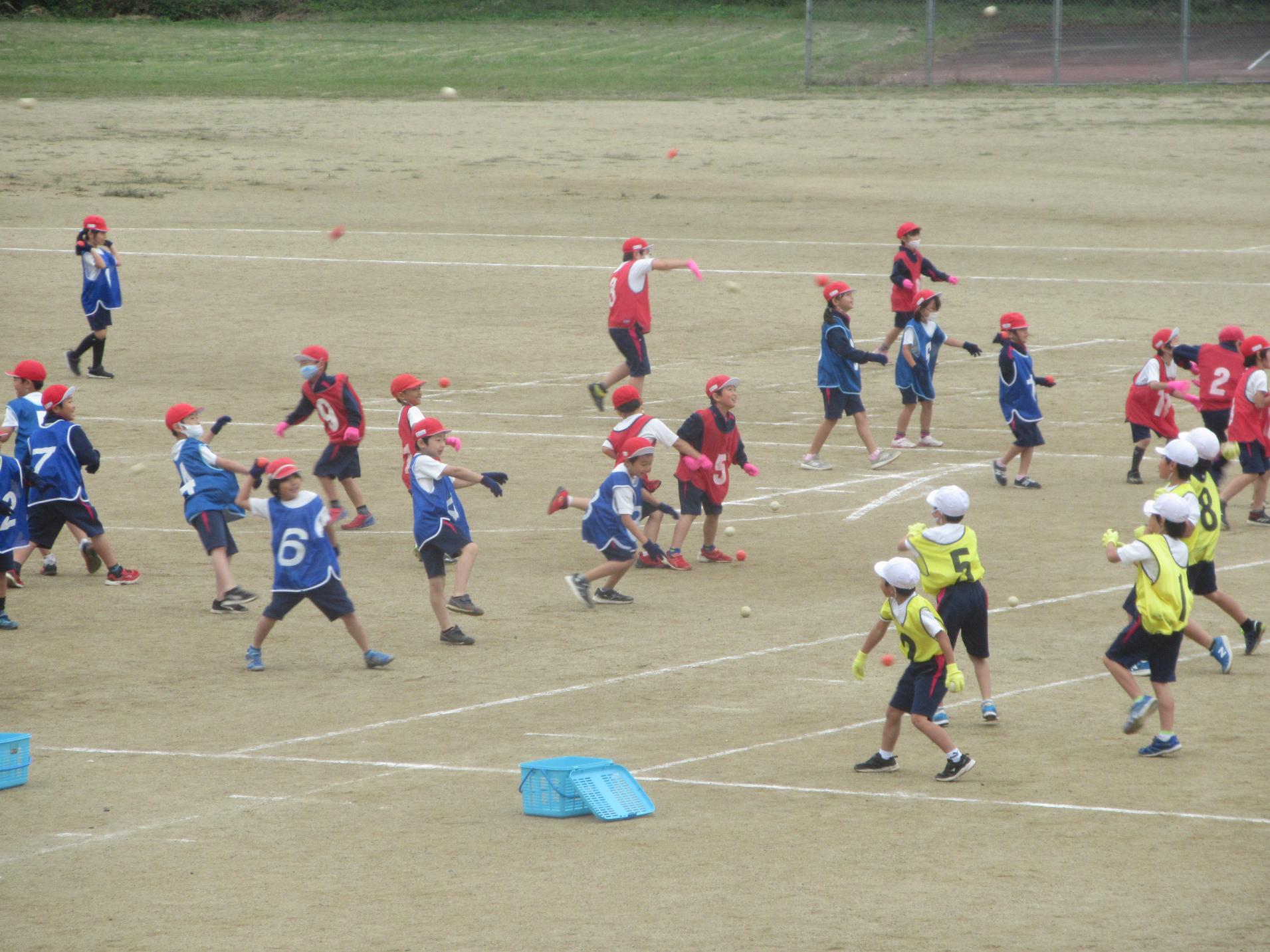 IMG_3082 IMG_3082