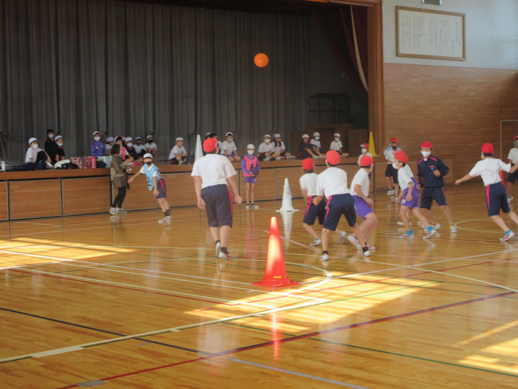 IMG_3137 IMG_3137