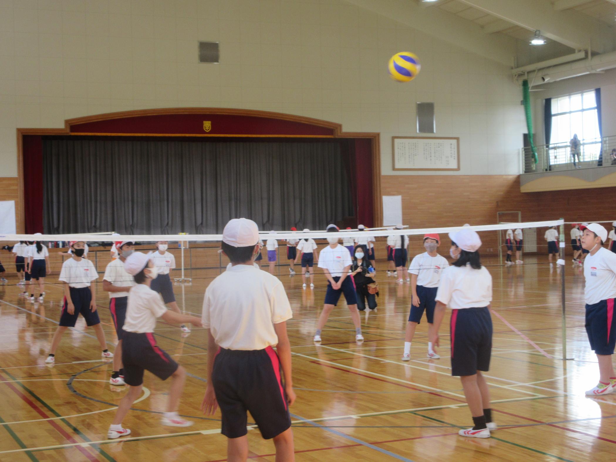 IMG_3285 IMG_3285