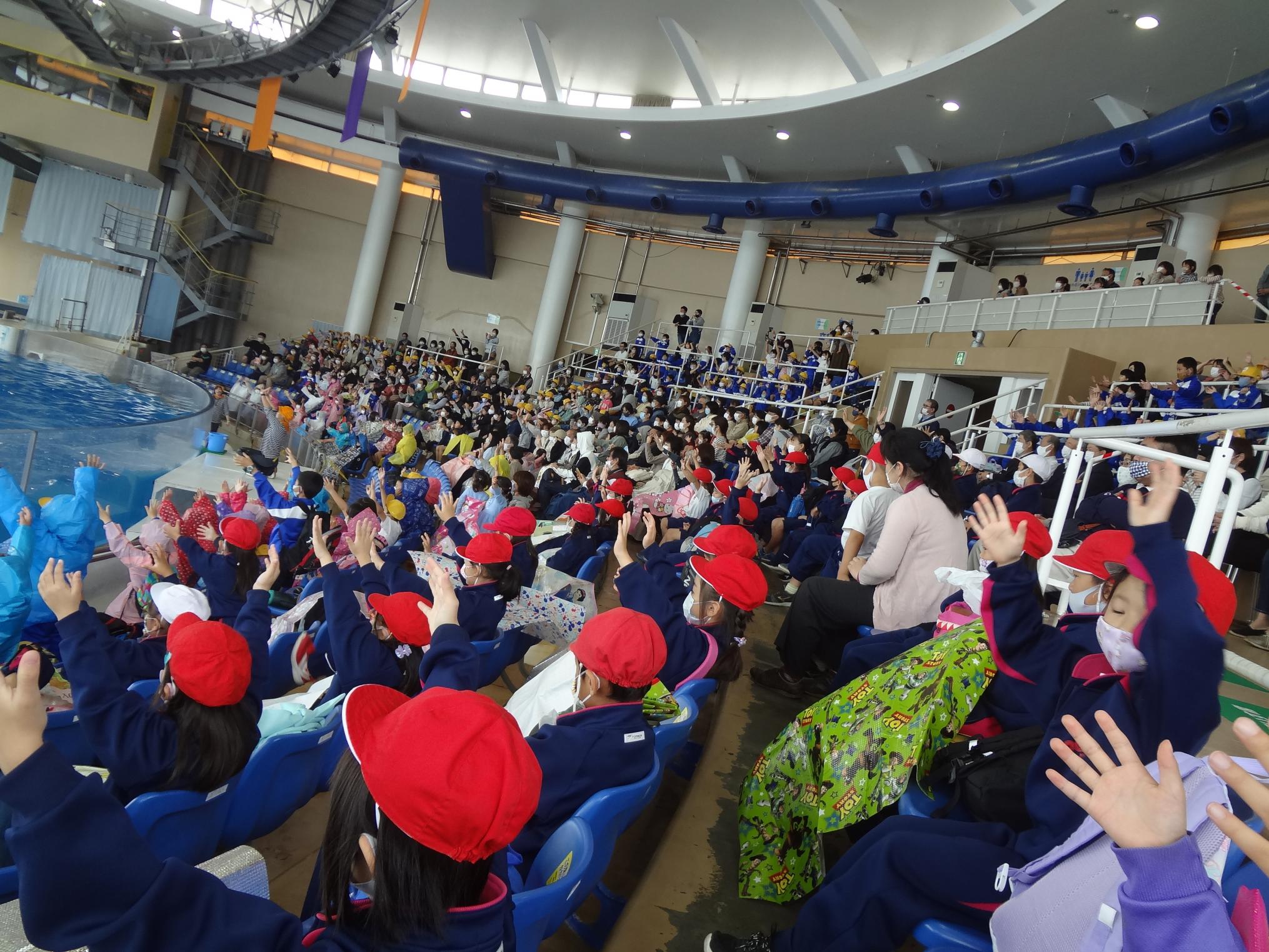 DSC04822 DSC04822