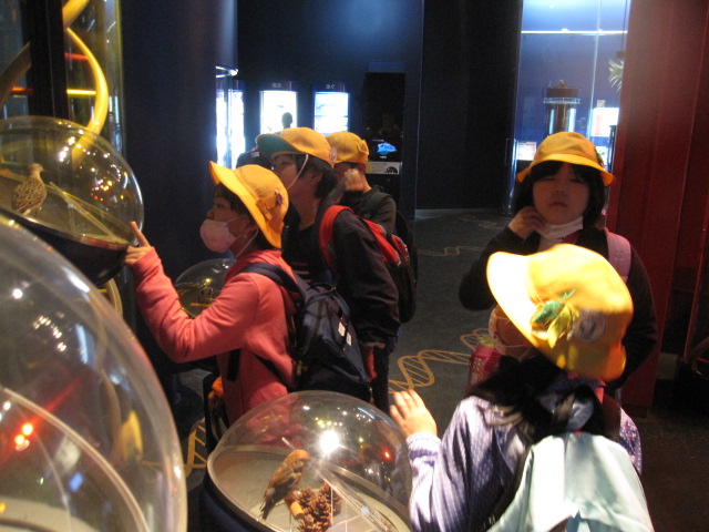 IMG_0051 IMG_0051