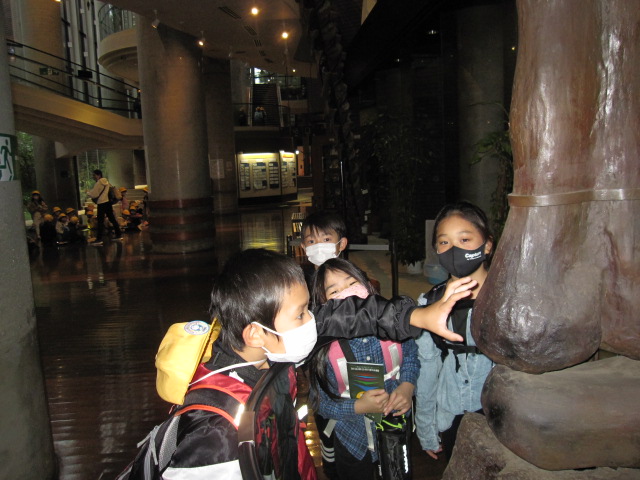 IMG_0060 IMG_0060
