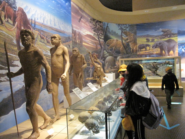 IMG_0040 IMG_0040
