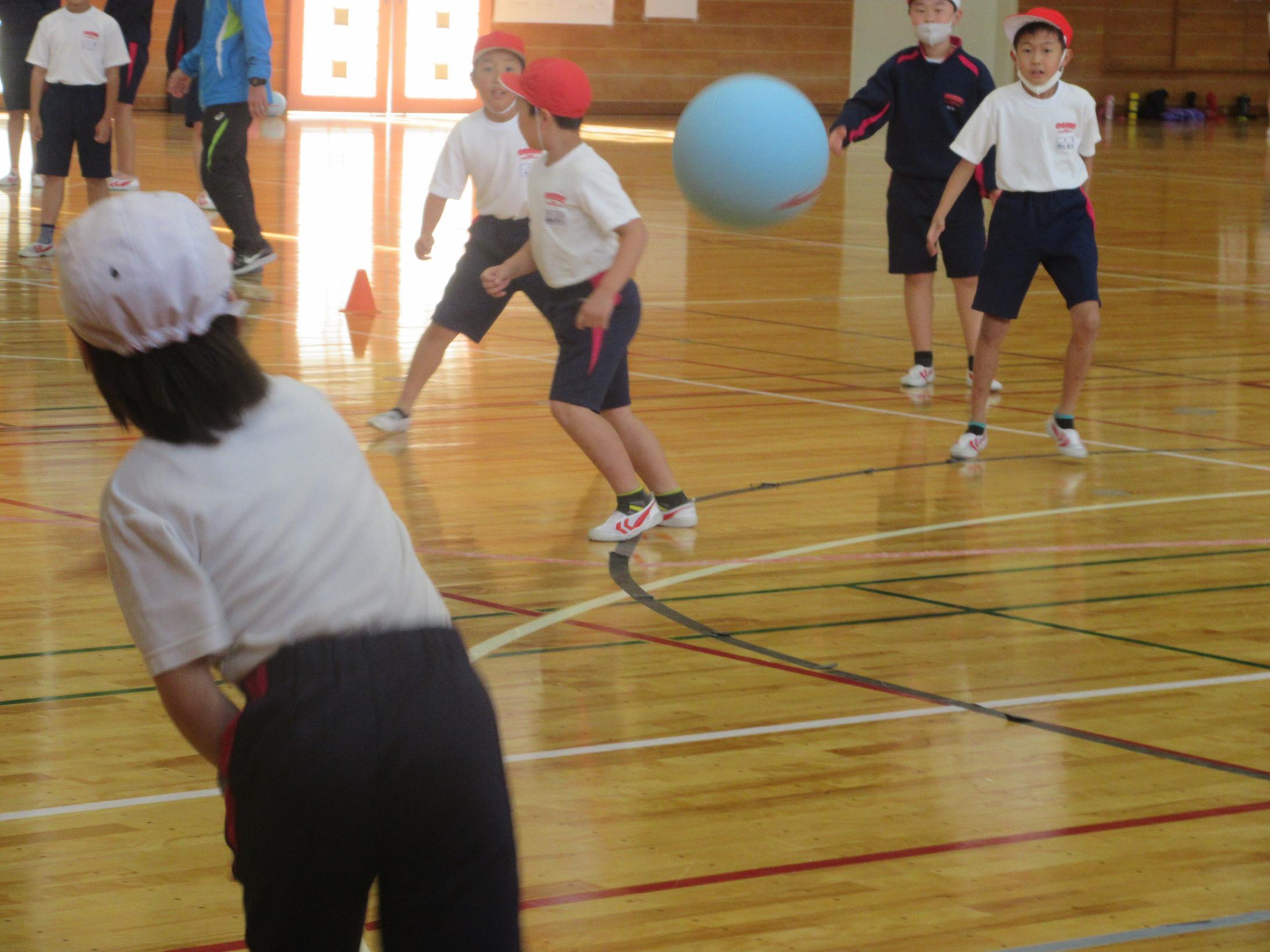 IMG_3338 IMG_3338
