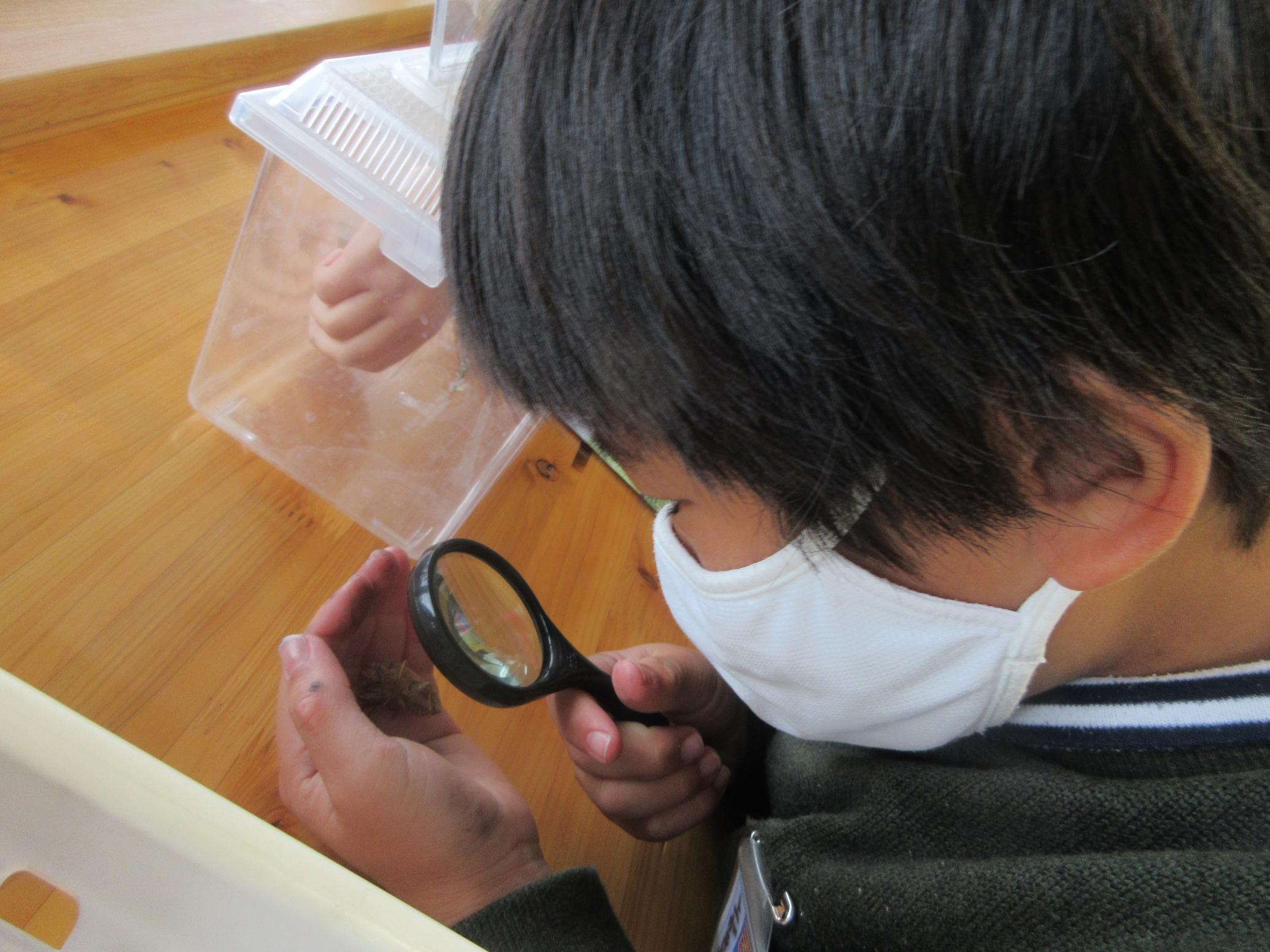 IMG_3980 IMG_3980