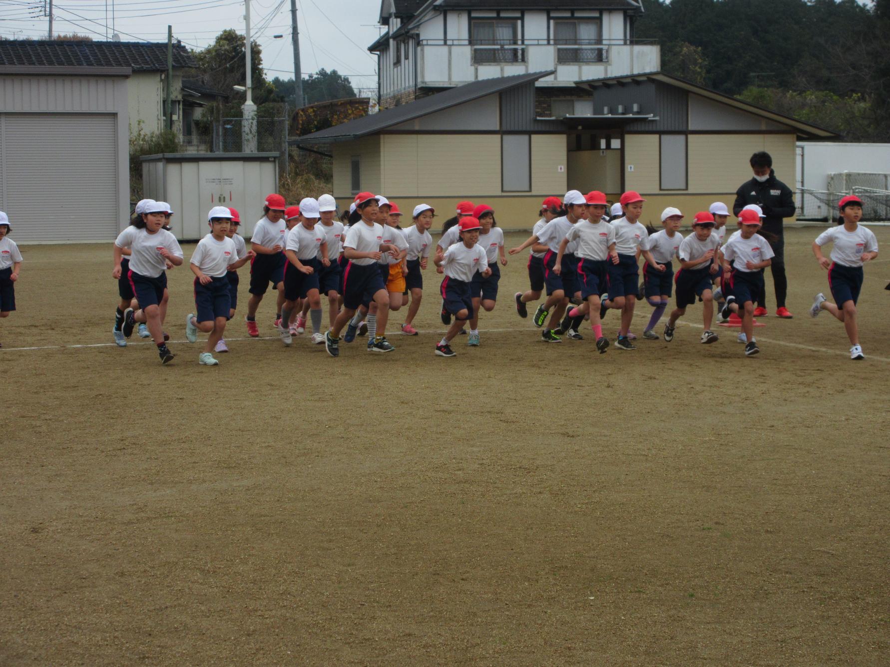IMG_4108 IMG_4108