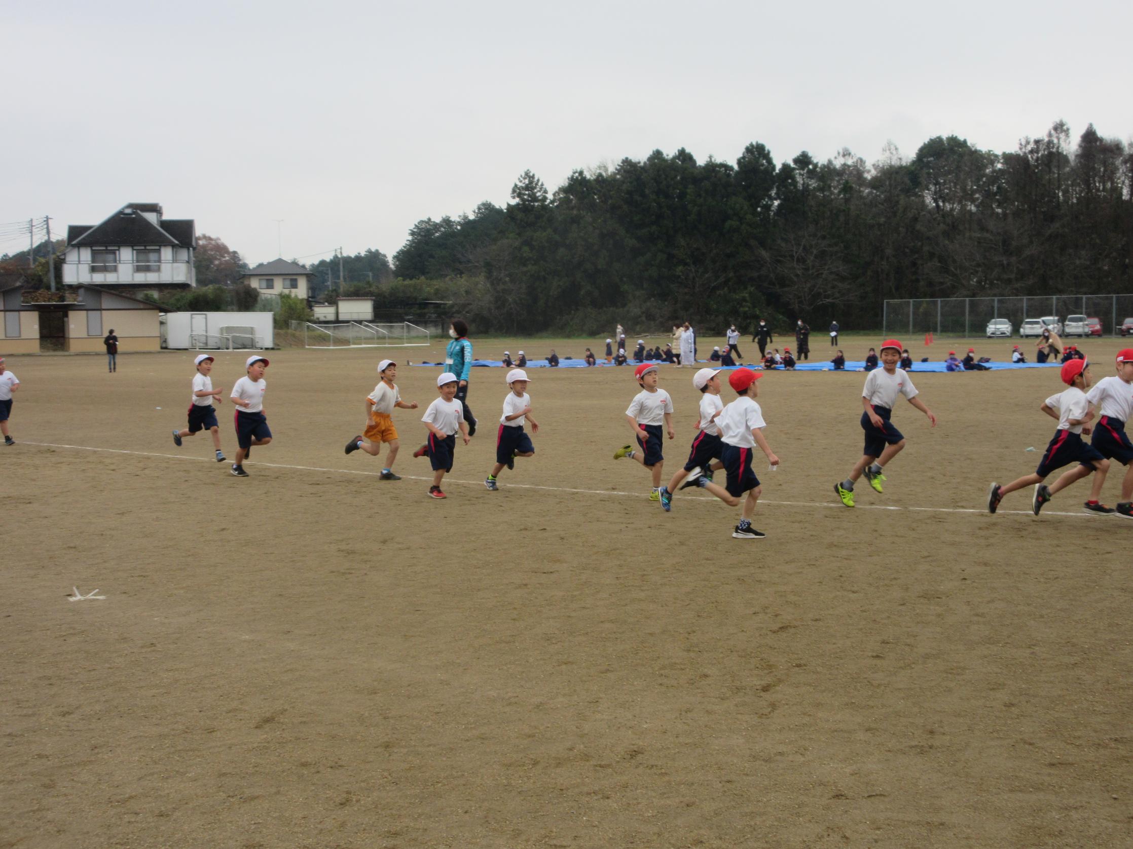 IMG_4071 IMG_4071