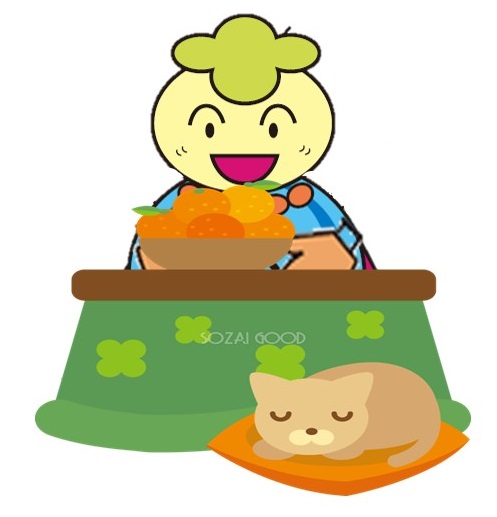 こたつみなみん こたつみなみん