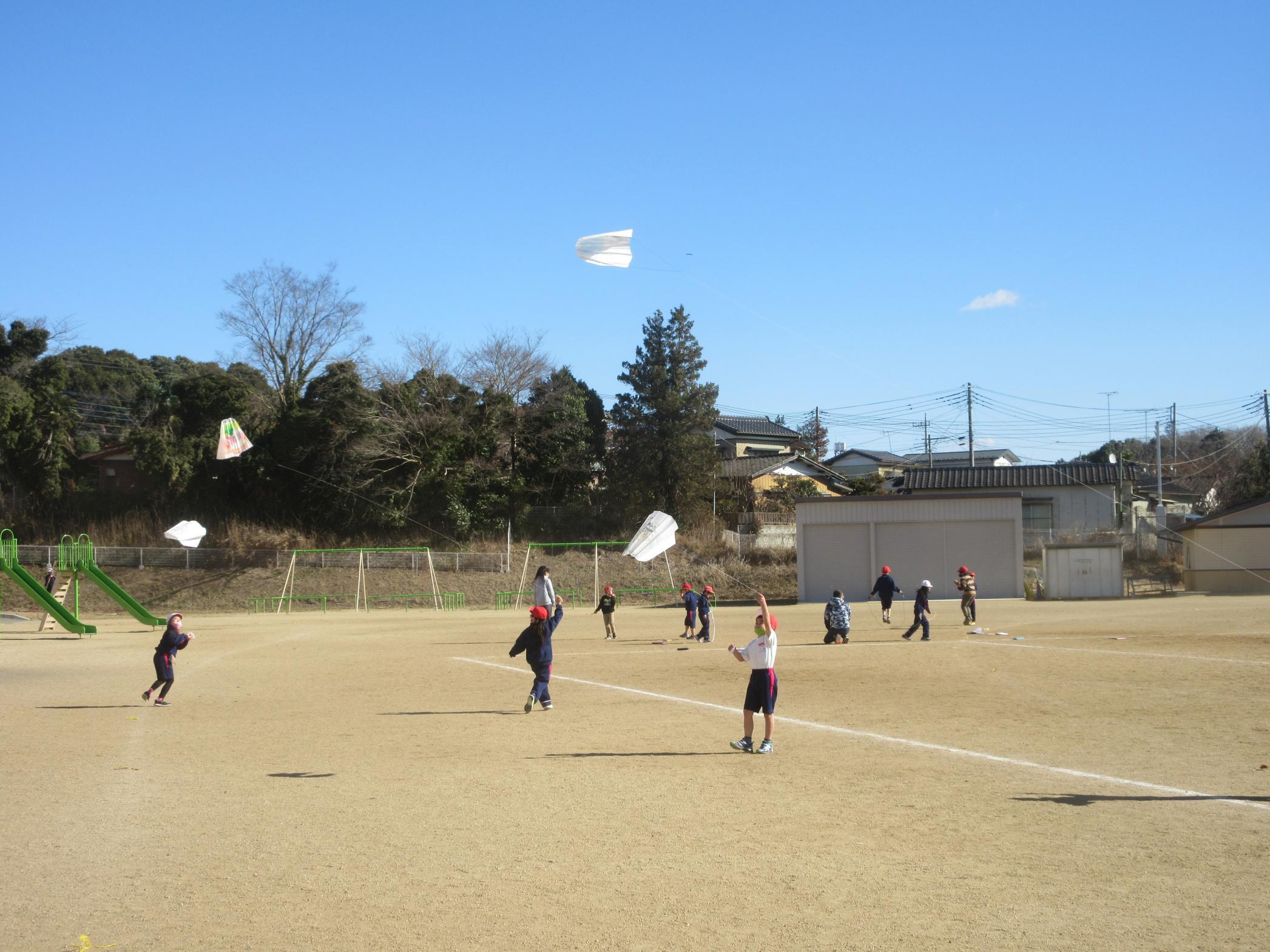IMG_4623 IMG_4623