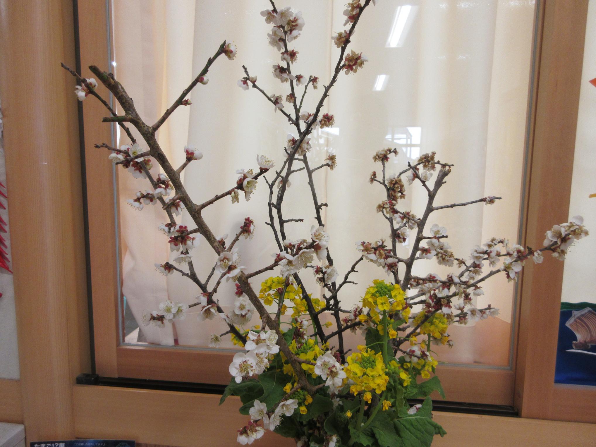 IMG_5208 IMG_5208