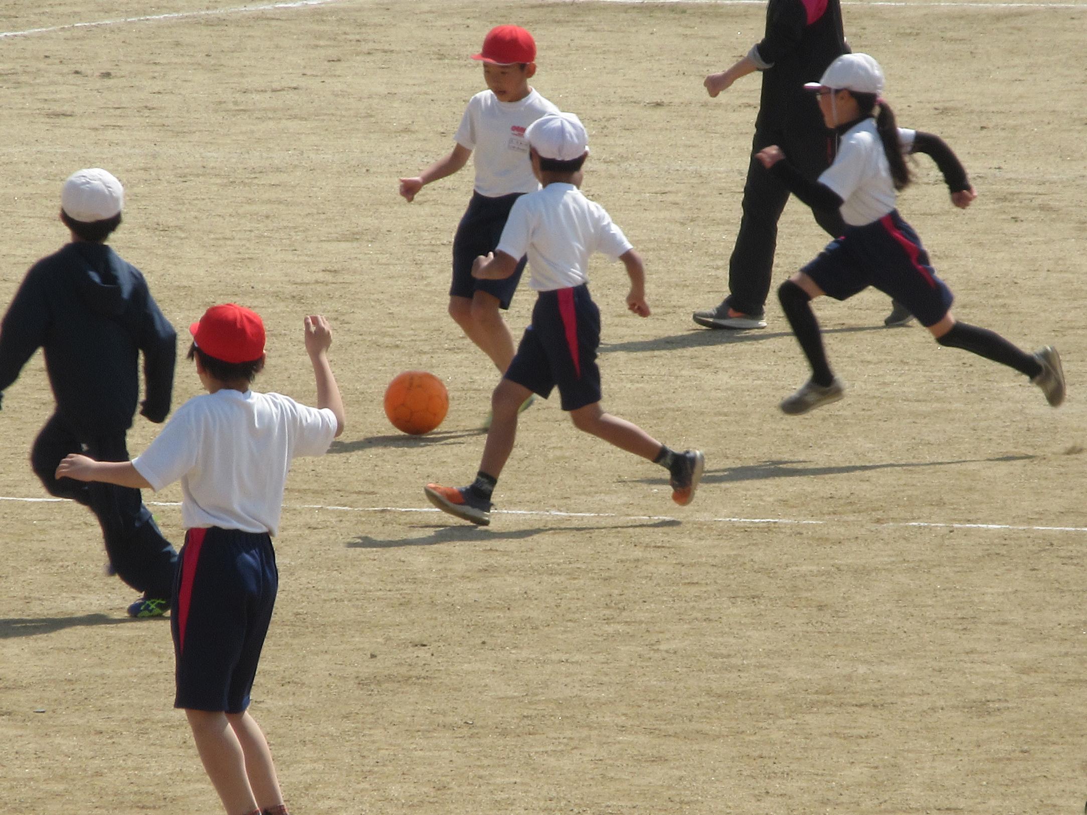 IMG_5647 IMG_5647