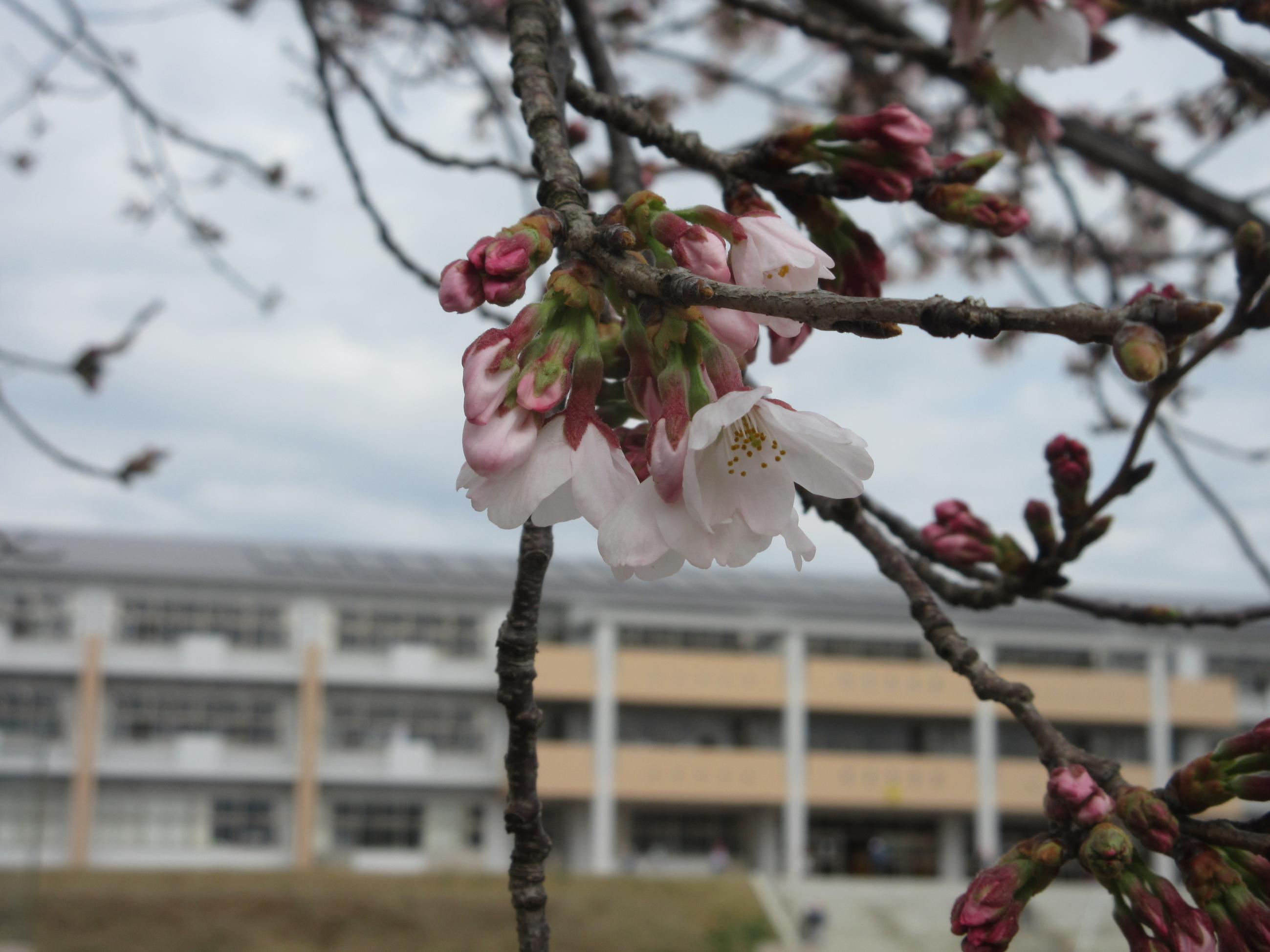 IMG_5754 IMG_5754
