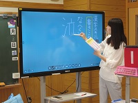 IMG_2955 IMG_2955