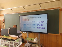 IMG_7767 IMG_7767