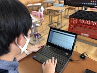 IMG_3741 IMG_3741