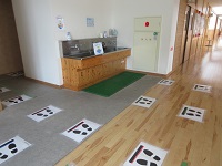 IMG_7829 IMG_7829