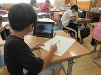 IMG_7942 IMG_7942