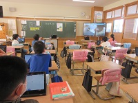 IMG_7938 IMG_7938