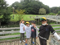 IMG_8201 IMG_8201