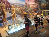 IMG_8137 IMG_8137