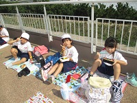 IMG_5327 IMG_5327