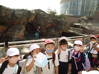 IMG_5324 IMG_5324