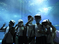 IMG_5344 IMG_5344