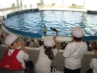 IMG_5303 IMG_5303