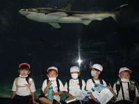 IMG_5358 IMG_5358