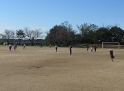 IMG_8233