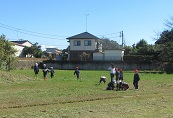 IMG_8238