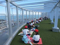 IMG_8294 IMG_8294
