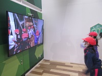 IMG_8335 IMG_8335