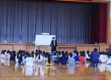 IMG_3940 IMG_3940