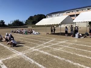 IMG_3986 IMG_3986