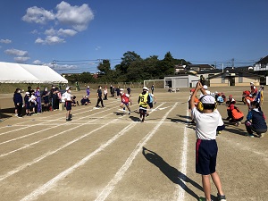 IMG_3987 IMG_3987