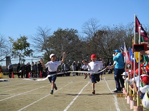 IMG_0559 IMG_0559