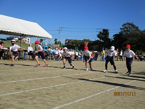 IMG_0573 IMG_0573
