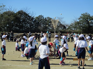 IMG_0612 IMG_0612