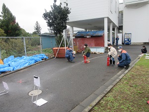IMG_8519 IMG_8519