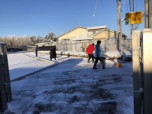 IMG_4473 IMG_4473